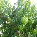 신선농장 이미지