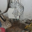 삼일빌라 앞 이미지