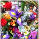 효성과일 이미지