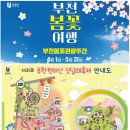 동산애견 | [경기/부천]서울 근교 꽃구경_부천 진달래동산(주차,꿀팁,애견동반 후기)