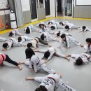 국가대표 호동 태권도장 네이버블로그