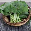 자연대로 이미지