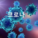 테마주 정리 :: 메르스 코로나 바이러스 관련주 이미지