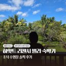 발리 | 사누르 숙소 하얏트 리젠시 발리 조식 수영장 후기