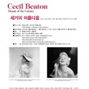 세실 이미지