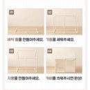 댕그니엘 | [제품] 내돈내산 댕피스텔 강아지집추천