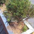 승주국밥 이미지