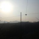 호계태양광발전소 이미지