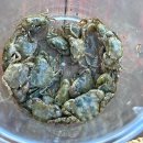 산밭골횟집 네이버블로그