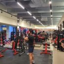 1퍼센트짐 이미지