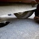 신호자동차정비 이미지