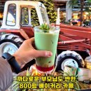 올레소프트 | 제주 애월 대형 베이커리 카페 추천 – 제주당 베이커리 방문 후기 (내돈내산)