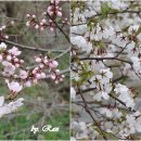 주산테크 이미지