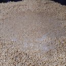 큰가내영농조합법인 이미지