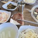 횡성토종한우프라자 이미지