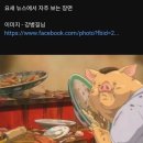 떡볶이 세무조사 이미지