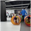 혁신 태권도 이미지