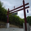 담양가볼만한곳 죽녹원 산책하며 힐링한 효도여행 후기