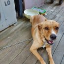 인월동물병원 이미지