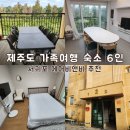 월라봉로 | 제주도 에어비앤비 추천 서귀포 숙소 6인 솔레어 더 테라스 반려동물 동반가능 내돈내산 후기