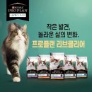 퓨리나동물병원 이미지