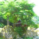 풍암제길 | 전라도정자詩로 만난 인물-김치복(金致福)