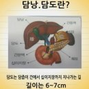 담낭암 담도암 생로병사의 비밀 이미지