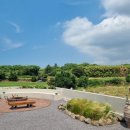 판포감동스테이 | 제주판포독채펜션 | 뷰 맛집 판포감동스테이 후기