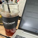 용아중학교 | 2026 목표: 봄날의 개화까진 아니더라도