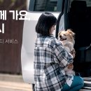 멍타냥 이미지