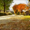 금광농원 이미지