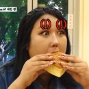 하레하레 이미지