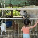 대경목장 이미지