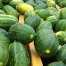 벧엘농장 이미지