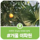 철이화원
