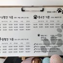 영희와바둑이 애견미용샵 이미지