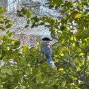 하늘문화로47번길 | 광주 붐은 온다 ... 먹으러 간 3월의 1박 2일 광주여행