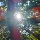 쉼바위민박 이미지