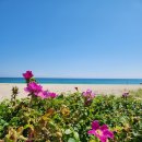 연곡해변 이미지