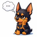 정상컴퓨터학원 티스토리