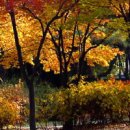 알레르기 비염이란?/꼭 읽어보세요 이미지