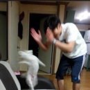 케이메디테크