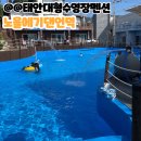 노을에 기댄 언덕 이미지