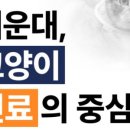 코아동물병원 이미지