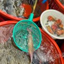 후리횟집 이미지