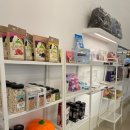 아로하스토리 이미지