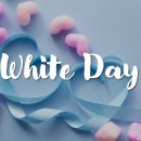 더차오름 태권도 이미지