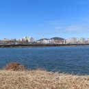 잠원한강공원 Daum카페
