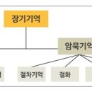 기억과 기억 이미지