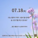 2024/7/18/연중 제15주간 목요일 이미지